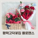 플로맨스