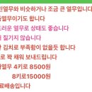 빛들농장 이미지