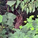 종은목장2 이미지