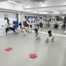 용인대 금메달 태권도 이미지