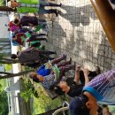 용부원1리 이미지