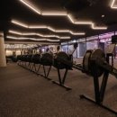 MAN OF ACTION 이미지