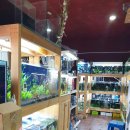 비제이팜 이미지