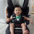 퀼트쥬니어 이미지