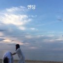 거북이세차나라 | 2025 #117