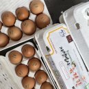 참샘골농장 이미지