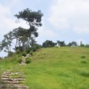 유여림선생묘 및 신도비 이미지