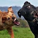 남원읍-2 이미지