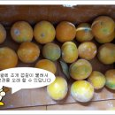 주훈농장 이미지