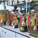 명성태권도장 이미지