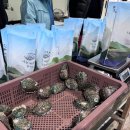 나는어부다 참전복 이미지