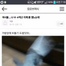 비둘기
