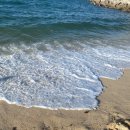 사천농협 하나로마트 사천점 이미지