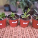 (주)실버포션 이미지