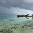 지을 주식회사 이미지