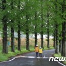 마을안관광코스 5코스 이미지