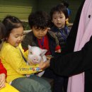 돼지보러오면돼지 이미지