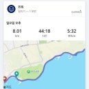 배가면집 - 달서구 | 2025 12월 다들 올 한해도 행복했지?
