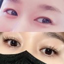 래쉬에딕트) 눈썹영양제 효과 내돈내산 후기안보면 후회합니다.