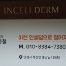 꽃길인셀덤