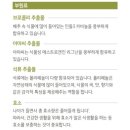 에스테라 이미지