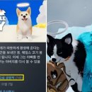 무지개다리 이미지