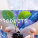 팝스 컴퍼니 이미지