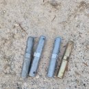 세종비티 이미지