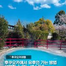 개동(남)경로식당 | 후쿠오카에서 유후인 가는 방법 TOP3 초보자도 쉬운 경로 총정리