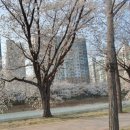 오늘 더 예쁘다 이미지