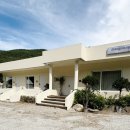 일랑일랑 스테이 이미지