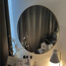 공주사 | 출산 후 다시 방문한 청담공클리닉 포텐자 디어넥주사 후기