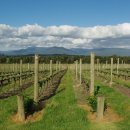 김연호농장 이미지