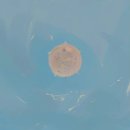 감성일러스트 이미지