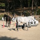 일영랜드 이미지