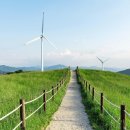 왕박골식당 이미지