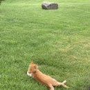 잠실역9번출구 이미지