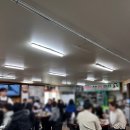 [강원/춘천] 춘천함가네닭갈비 후기_치즈롤볶음밥 강추