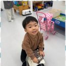 흰돌어린이집 이미지