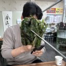 문양역길 | 대구 맛집 내돈내산 문양역 국수 부추전 종가 후기