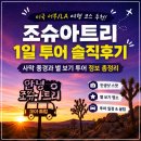 별다만 | [미국 서부/LA] 여행 코스 추천, 조슈아트리 국립공원 별 보기 투어 후기·가격 비교·꿀팁 총정리