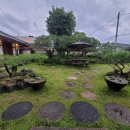 삼국식당 이미지