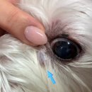 더케이 동물병원 이미지