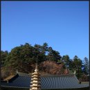 은행나무숲 입구 이미지