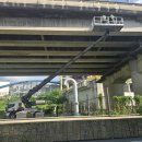 스카이코리아 이미지