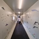 웨스트타워 클럽올림푸스 이미지