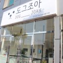 도그조아 이미지