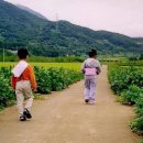 박대박맛집 이미지