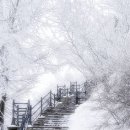 경기대로652번길 이미지