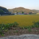 금송산업개발